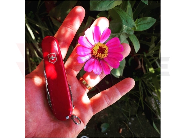 Мултифункционален Швейцарски Джобен Нож Victorinox Climber Stainless Steel Plastic Red » Force.BG