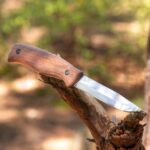 Нож BPS Knives BS3 CSH 1066 walnut wood » Force.BG