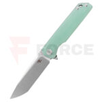 Нож CH KNIVES 3507 Tanto D2 G-10 Jade Green » Force.BG
