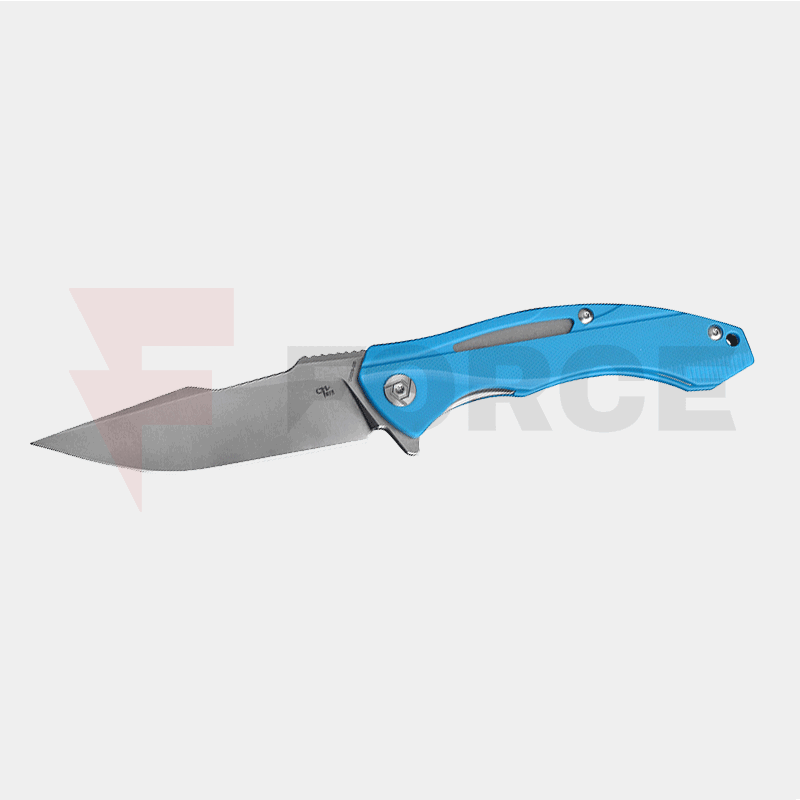 Нож CH KNIVES 3519 D2 G-10 Blue » Force.BG