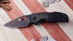 Нож Spyderco NATIVE 5 S30V FRN BLACK BLADE » Force.BG