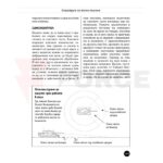 Наръчник по оцеляване SURVIVAL 4 - Психическа устойчивост SAS » Force.BG
