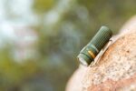 Заряден Фенер Olight Baton 4 1300 Лумена OD Green » Force.BG