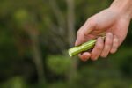 Заряден фенер Olight i5R EOS 350 Лумена Neon Green » Force.BG