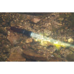 Тактически фенер Olight Javelot 1350 лумена OD Green 730м » Force.BG