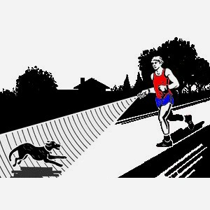 Ултразвуков Кучегон/Треньор за кучета/фенерче DOG TRAINER » Force.BG