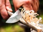 Бушкрафт нож Boker Solingen Bronco Mini CPM3V зелен » Force.BG